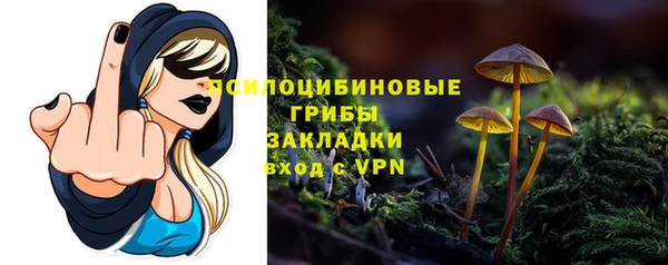СК Нефтегорск
