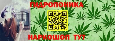 стафф Бийск