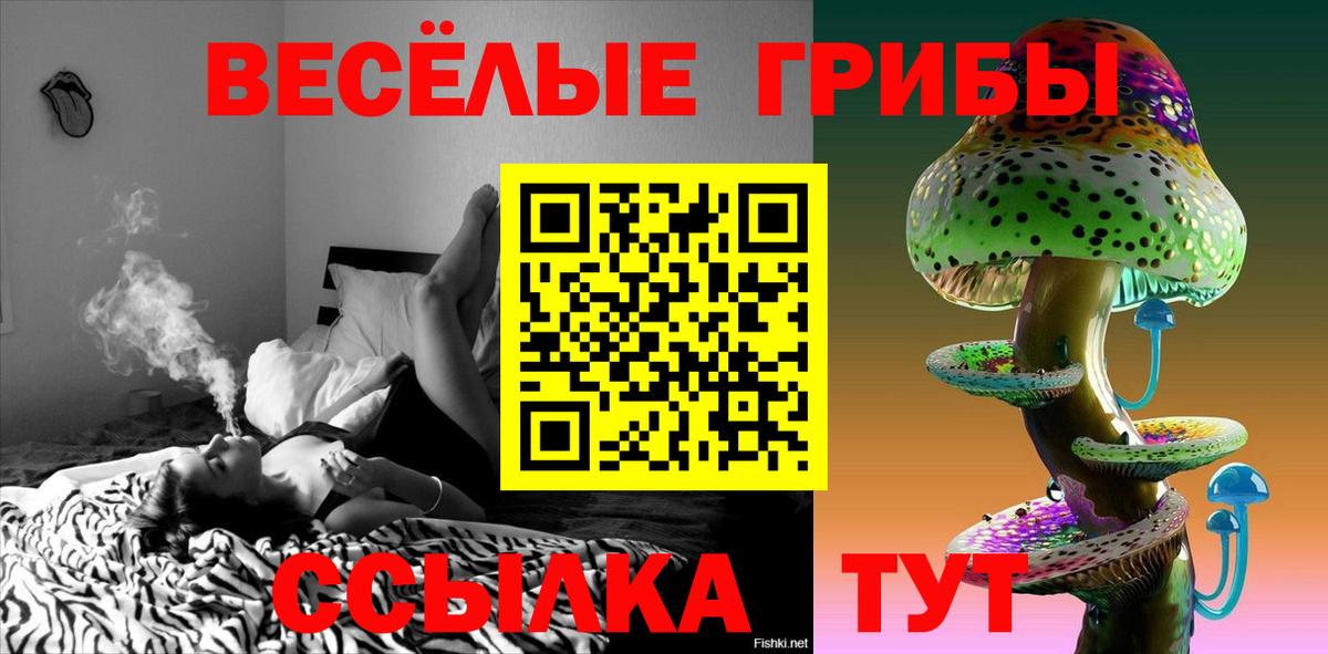Псилоцибиновые грибы прущие грибы Златоуст