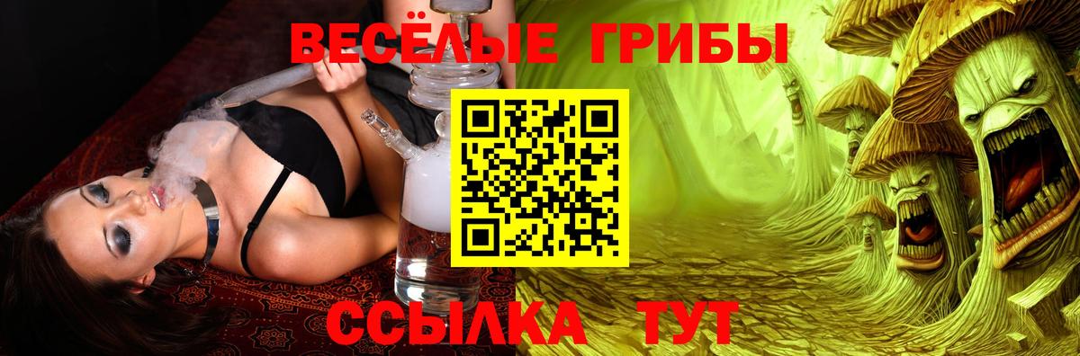 Галлюциногенные грибы Psilocybine cubensis  Златоуст  Галлюциногенные грибы Cubensis 