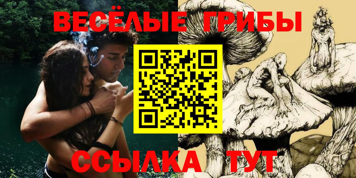 Златоуст  закладки  Вход с VPN  Псилоцибиновые грибы мицелий 